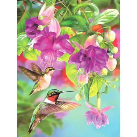 Diamond-schilderij Kolibries en fuchsia's Diamond Painting Vogels