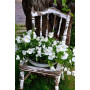  Milena Flowers on a Chair Diamond Painting Flowers