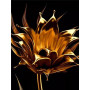  Zwarte en gele bloemen Julia Diamond Painting bloemen