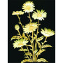 Black and Yellow Flowers Lena Diamond Painting Flowers