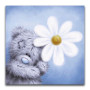  Daisy Teddybeer Diamond Painting Beertjes