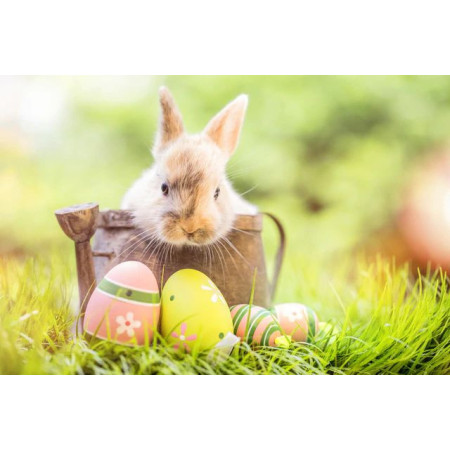  Paaseieren Abby Diamond Painting Pasen