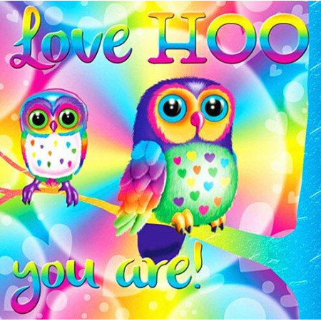  Coppia di gufi che disegnano Love Hoo Diamond Painting Cartoni Animati