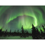  L'Arche Verte de la Forêt Profonde Diamond Painting Aurore boreal