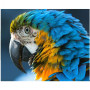 Diamond schilderij Portret van een Ara papegaai Diamond Painting Vogels