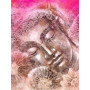  Buddha Kulap Diamond Painting Religions