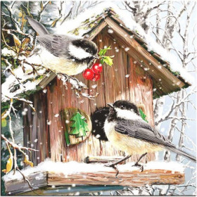  Meisen im Winternistkasten Diamond Painting Vögel
