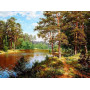 Pittura a diamante Paesaggio forestale 5D con fiume Diamond Painting Foresta