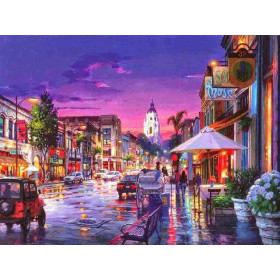  Sarasota City Scenery Diamond Painting Cities & Villages