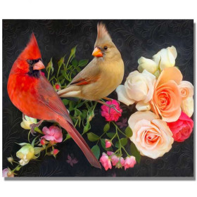  Couple de Cardinaux et Roses Diamond Painting Oiseaux