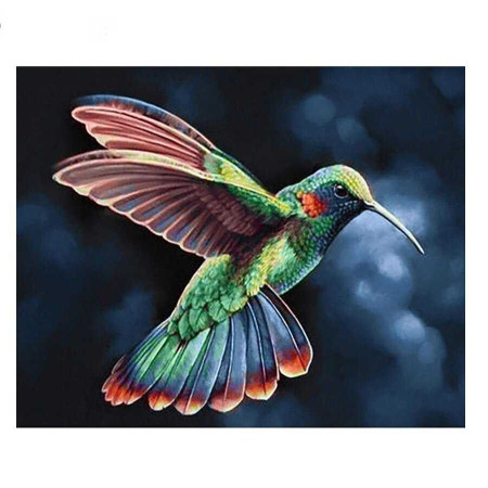  Colibri aux Plumes Irisées Diamond Painting Oiseaux