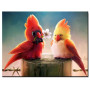  Loving Birds on a Picket Bird Diamond Painting