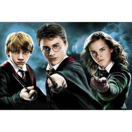 Il Trio in Azione Pittura a diamante di Harry Potter