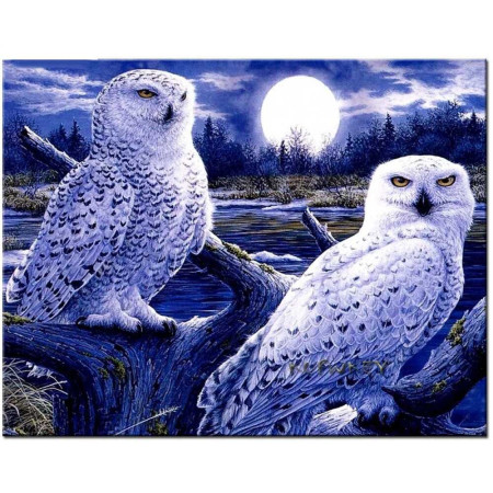  Wiesenweihen-Eulen im Mondschein Diamond Painting Vögel