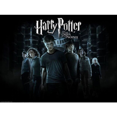  L'Ordre du Phénix Diamond Painting Harry Potter