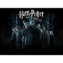  L'Ordre du Phénix Diamond Painting Harry Potter