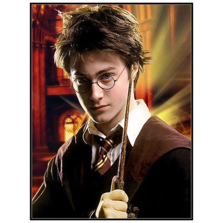  Le Jeune Sorcier Diamond Painting Harry Potter