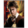  Il giovane mago Pittura a diamante di Harry Potter