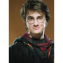  Portret van de tovenaar Diamond Painting Harry Potter
