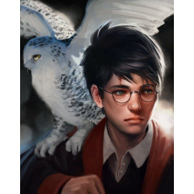  The Owl and the Wizard Diamond Painting Harry Potter