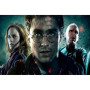  La Bataille Finale Diamond Painting Harry Potter