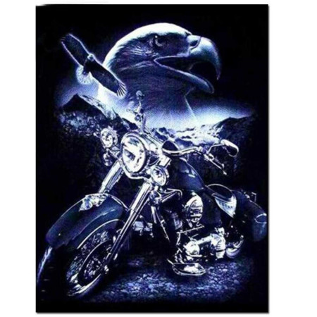 Aigle et Moto, Esprit Biker Diamond Painting Oiseaux