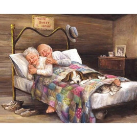  Older Couple in Bed Diamond Painting Elderly Person