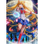 Anime Cosplay Serie D Diamant Schilderij Cosplay