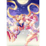  Anime Cosplay Serie L Diamant Schilderij Cosplay