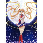  Anime Cosplay Series N Diamond Painting Cosplay