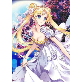  Anime Cosplay Series O Diamond Painting Cosplay