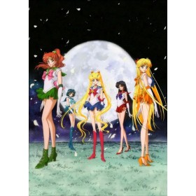  Anime Cosplay Series Q Cosplay di pittura a diamante