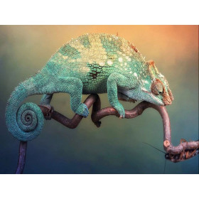  Chameleon 3D Series D Diamond Painting Chameleons