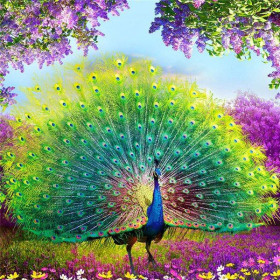  Le Paradis Floral Diamond Painting Paons