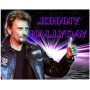 Johnny Hallyday: L'idolo cosmico Diamante Pittura Johnny Hallyday