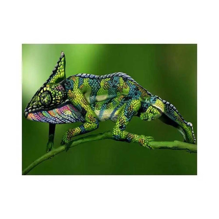  3D Kameleon Serie A Diamantschilderkameleons