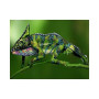  3D Kameleon Serie A Diamantschilderkameleons