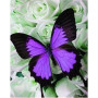  Schmetterling: Purpurne Eleganz Diamond Painting Schmetterlinge