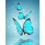  Butterflies : The Turquoise Dance Butterfly Diamond Painting
