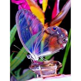 Schmetterling: Der Juwelenschmetterling Diamond Painting Schmetterlinge