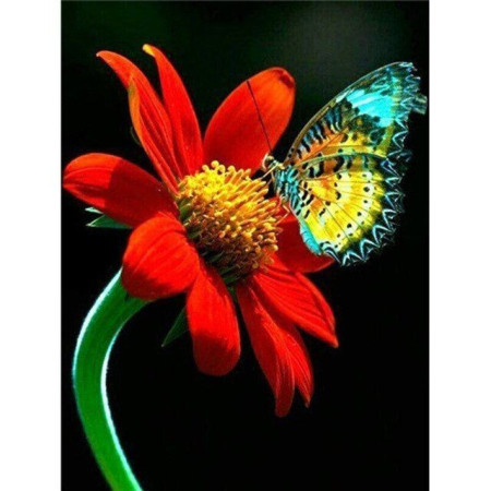  Schmetterling: Der Splitter auf Roter Blume Diamond Painting Schmetterlinge