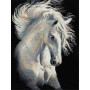  Horse: The Ivory Sparkle Diamond Painting Cavalli
