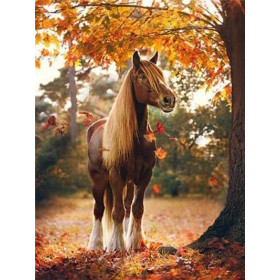  Paard: Herfstpracht Diamond Painting Paarden