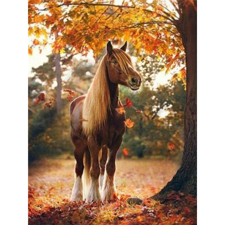 Splendeur d'Automne Diamond Painting Chevaux