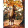  Horse: Splendore autunnale Diamond Painting Cavalli