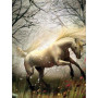  Paard: De geest van het betoverde bos Diamond Painting Paarden