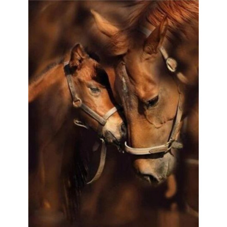  Horse: Maternal Tenderness Diamond Painting Horses