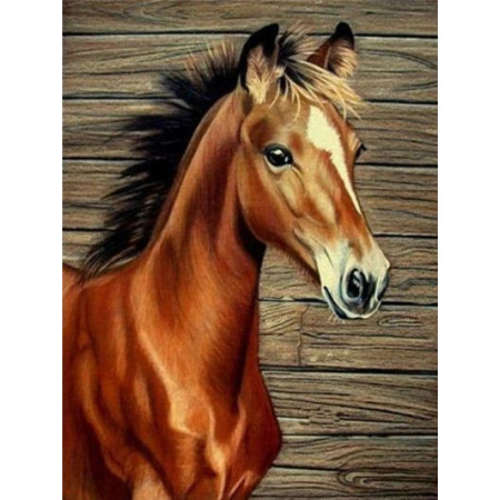  Horse: The Young Foal Diamond Painting Horses