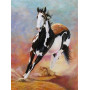  Horse: Spirito indomito Diamond Painting Cavalli