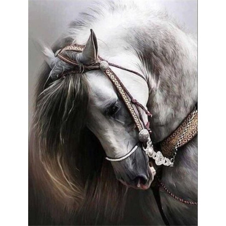  Horse: The Elegant Destrier Diamond Painting Horses